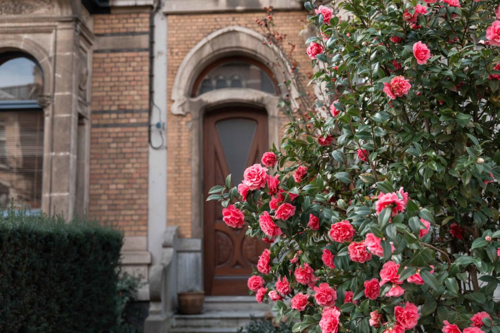 1 day in Antwerp: Art Nouveau