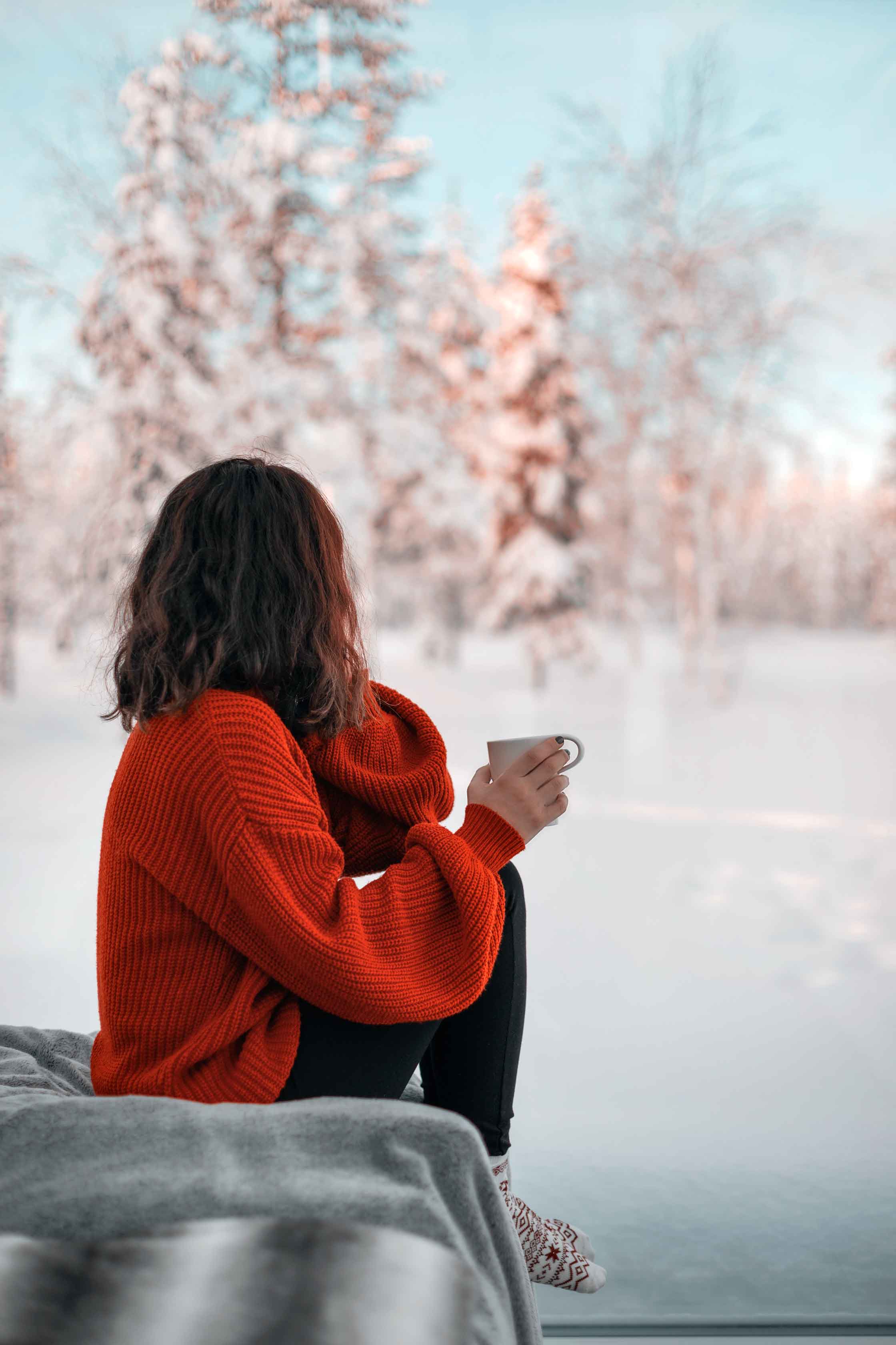 Sky view cabin in Finland: a magic stay at Northern Lights Ranch