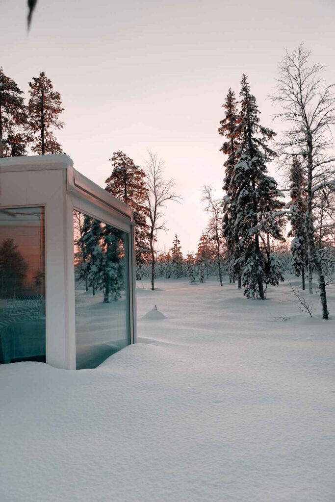 Sky view cabin in Finland: a magic stay at Northern Lights Ranch