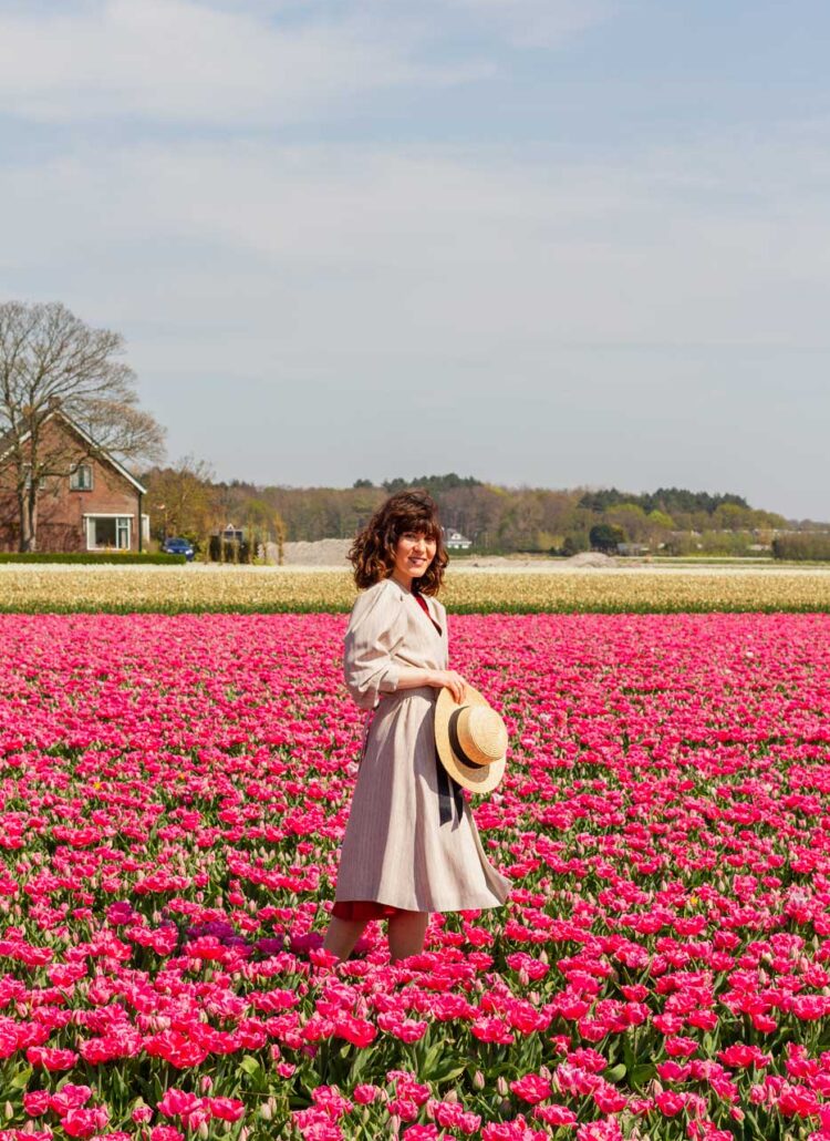 Tulip Fields In The Netherlands: Exploring Holland’s Rich Heritage