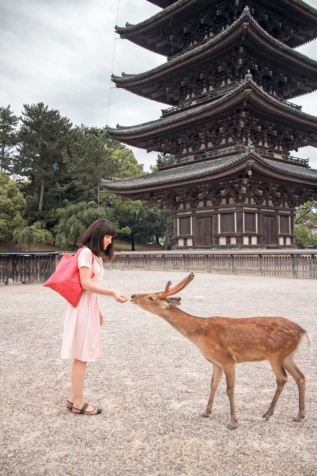 The Best of Japan: A Cultural Journey through Kyoto, Nara and Osaka