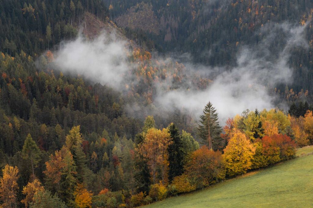 Bolzano, South Tyrol in Autumn