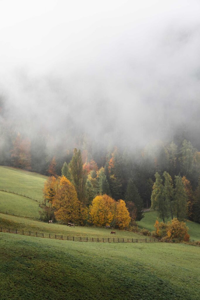 Bolzano, South Tyrol In Autumn